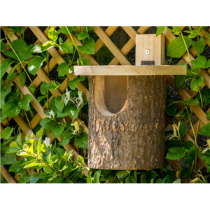 Natural Log Robin Nest Box